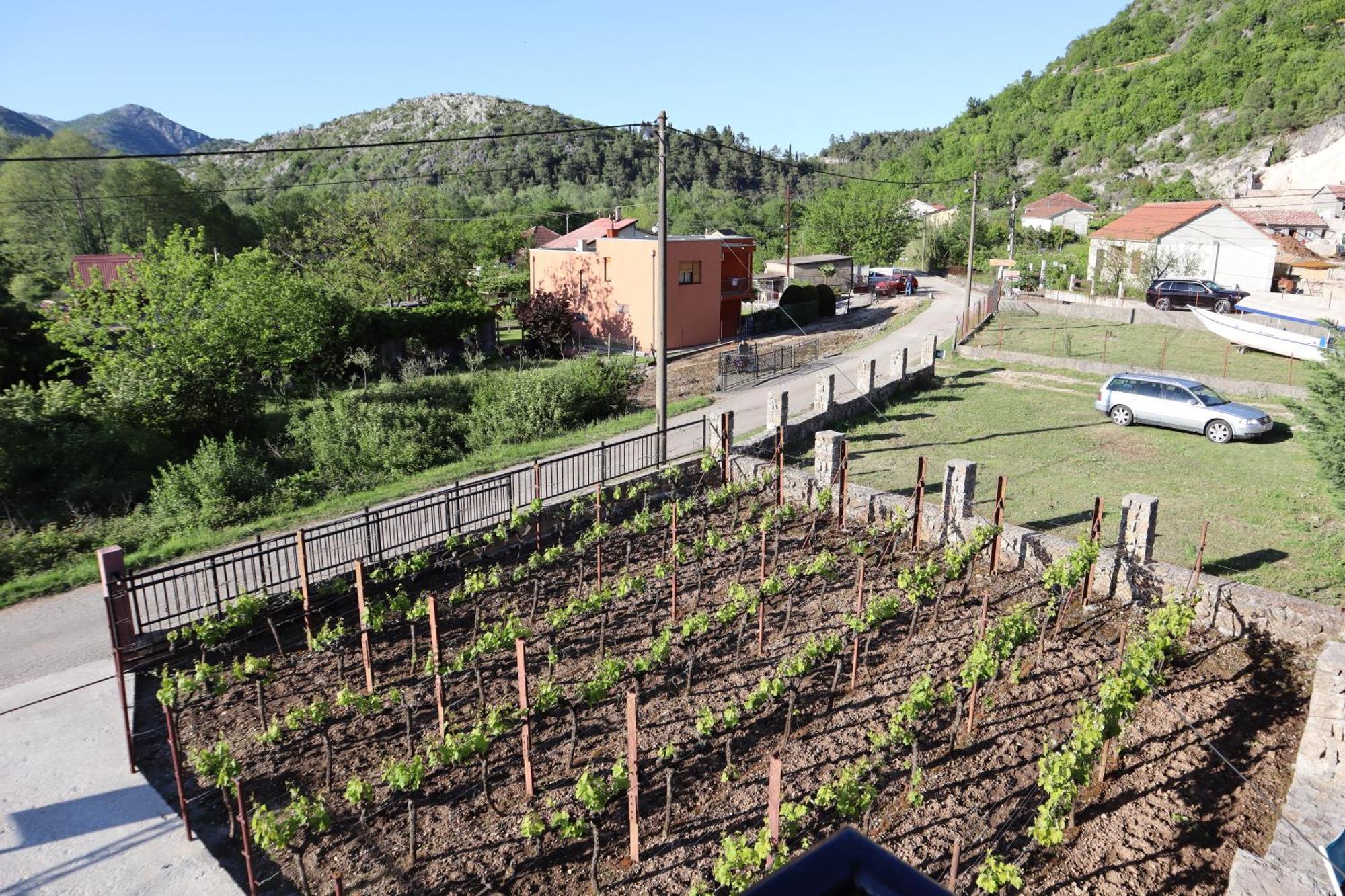 Green Field Apartments Virpazar Eksteriør billede